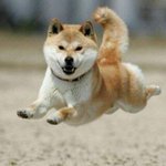 [NCT] 애들 <b>연차</b> 차면말야