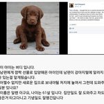 [댓글부탁해] 알레르기가 있어 <b>분양</b>보냅니다