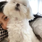 수지네 강아지 <b>졸귀</b>ㅜㅜ