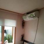 [모두드루와] <b>캣타워</b>를 사기로 결심하는 순간