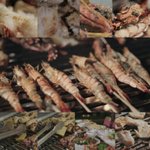 아날로그 트립~~!! 좋은데? 후~~!!