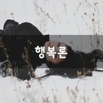 [꼭조언부탁] 행복론~