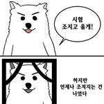 나 눈물나 죽고싶다