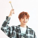 [강다니엘] 공트에 올라온 데뷔100일  축하 <b>축전</b> 사진 예쁘다