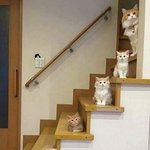 [19] 병원갔다가 집오는길에 남자들이 개꼽줌