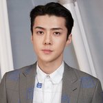 [EXO] 개종삽턱세훈애미 남연갤이고 엑톡이고 <b>장작</b>넣네^^