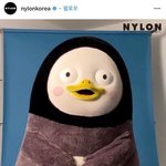 [프듀X] 펭수 진짜 대슈<b>스다</b>