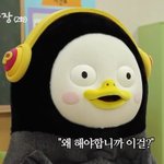 [댓글부탁해] 얘들아 윈터 다닐까말까???