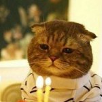[꼭조언부탁] 전<b>남친</b> <b>생일</b>때 프사 어떰
