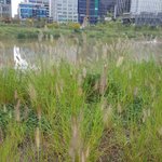 알바하면서어<b>캐</b>친해져?