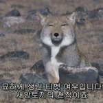 [드루와] 아 개빡쳐 돈 줘야돼?
