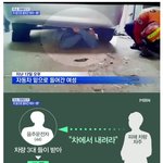 [댓글부탁해] 접촉사고 후 겁 많은 <b>줌마</b>