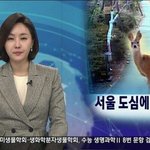[19] 언니가 남친데리고와서 <b>옆방</b>에서