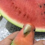 [ㅈㄱㄴ] 난 한ㅅㅎ 정ㄷㅇ한테 고마움