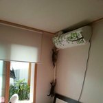 [댓글부탁해] <b>캣타워</b>를 사기로 결심한 순간