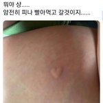 [조언부탁해] 고등학생 언니 오빠들 질문이요