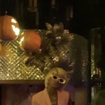 [모두드루와] 제니 미국에서 이 정도임...?