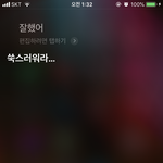 나 시리랑 대화하면서 <b>힐링</b>함,,,