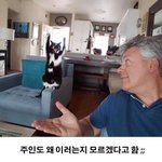 [모두드루와] 사진 찍을<b>때</b>마다 이러네 ㅋㅋㅋㅋ