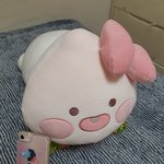 [드루와] 엄마가 <b>카카오</b>프렌즈샵에서 선물 사줬당 ! ㅎㅎㅎ