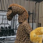[드루와] 나 남녀공학이 너무 기대돼