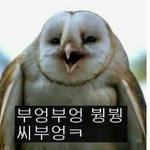 [드루와] 중3인데 너무 현타와...