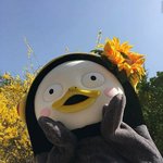 [모두드루와] 보고싶어 내<b>돌</b>