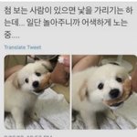 [드루와] 지금 이시기엔 항상