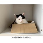[모두드루와] 이런거 귀여워 ㅠㅠ