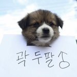 ㄹㅇ <b>개개</b>개개개설레는 드라마나 영화 추천해줘