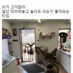 [모두드루와] 무조건 데려와놓곸ㅋㅋㅋㅋ
