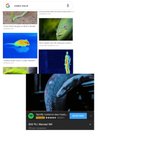 [EXO] <b>뱀</b> 시야가 열화상 카메라랑 다름이 없대