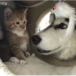 <b>짝</b>녀야 <b>니</b> 내꺼다