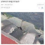 [댓글부탁해] <b>산책</b>하다가 이상한 걸 발견함
