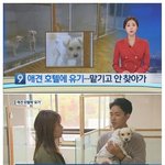 [댓글부탁해] 요즘 <b>견주</b>들이 개를 버리는 방법