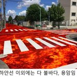 [모두드루와] 횡단보도 잘못 건너다가