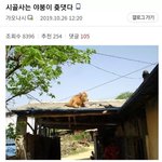 오홀