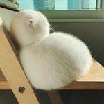 [모두드루와] 먹고싶게 생겼다...