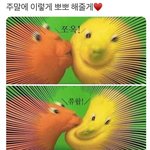 [드루와] 너네는 운명을 믿어 ?
