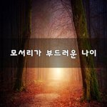[50대] 모서리가 부드러운 나이~