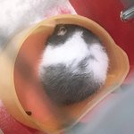 [드루와] <b>울애기</b> 넘 귀엽지 않니..