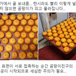 [댓글부탁해] 귤 최대한 <b>오래</b> 두고 먹는 방법