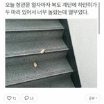 [댓글부탁해] 오늘 <b>현관문</b> 열다가 소름 돋음...
