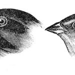 [드루와] <b>장덕철</b>이 3인조그룹인거 방금 처음 앎;;