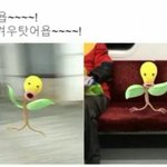 [드루와] 나만 <b>암기</b>공부할때 이러냐ㅋㅋㅋㅋㅋㅋㅋ