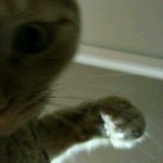 [개깊은빡침] 내 남친 엄마한테 문자왔는데 +추가