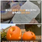 할로윈 장난감에서 발견된 충격적인 <b>SOS</b>편지.jpg