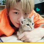 [강다니엘] [코스모폴리탄] 내가 고양이 되고 싶은 훈훈한 집사