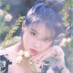 <b>자수</b>성가한 아이돌들