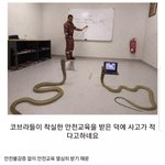 [모두드루와] 믿을만한건가...